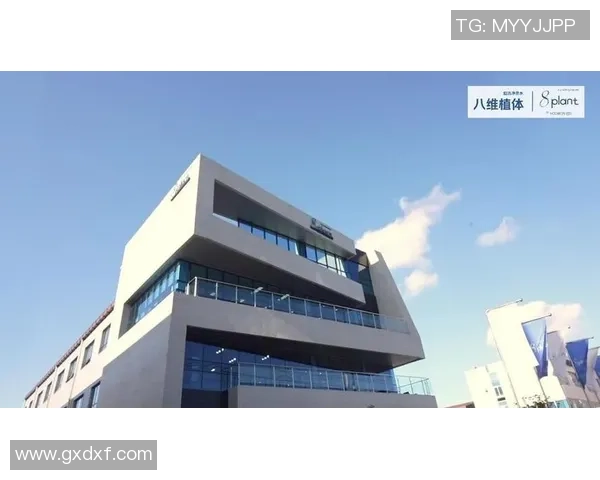 武汉篮球队的崛起与发展探索展现城市力量与团结精神