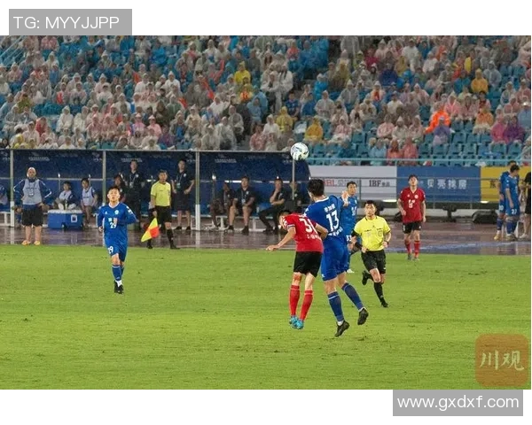 武汉篮球队实力大变革引发热议球迷期待新赛季的精彩表现