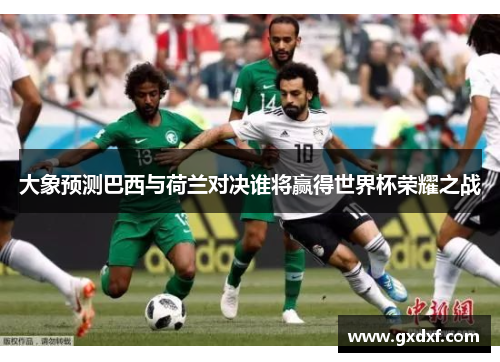 大象预测巴西与荷兰对决谁将赢得世界杯荣耀之战